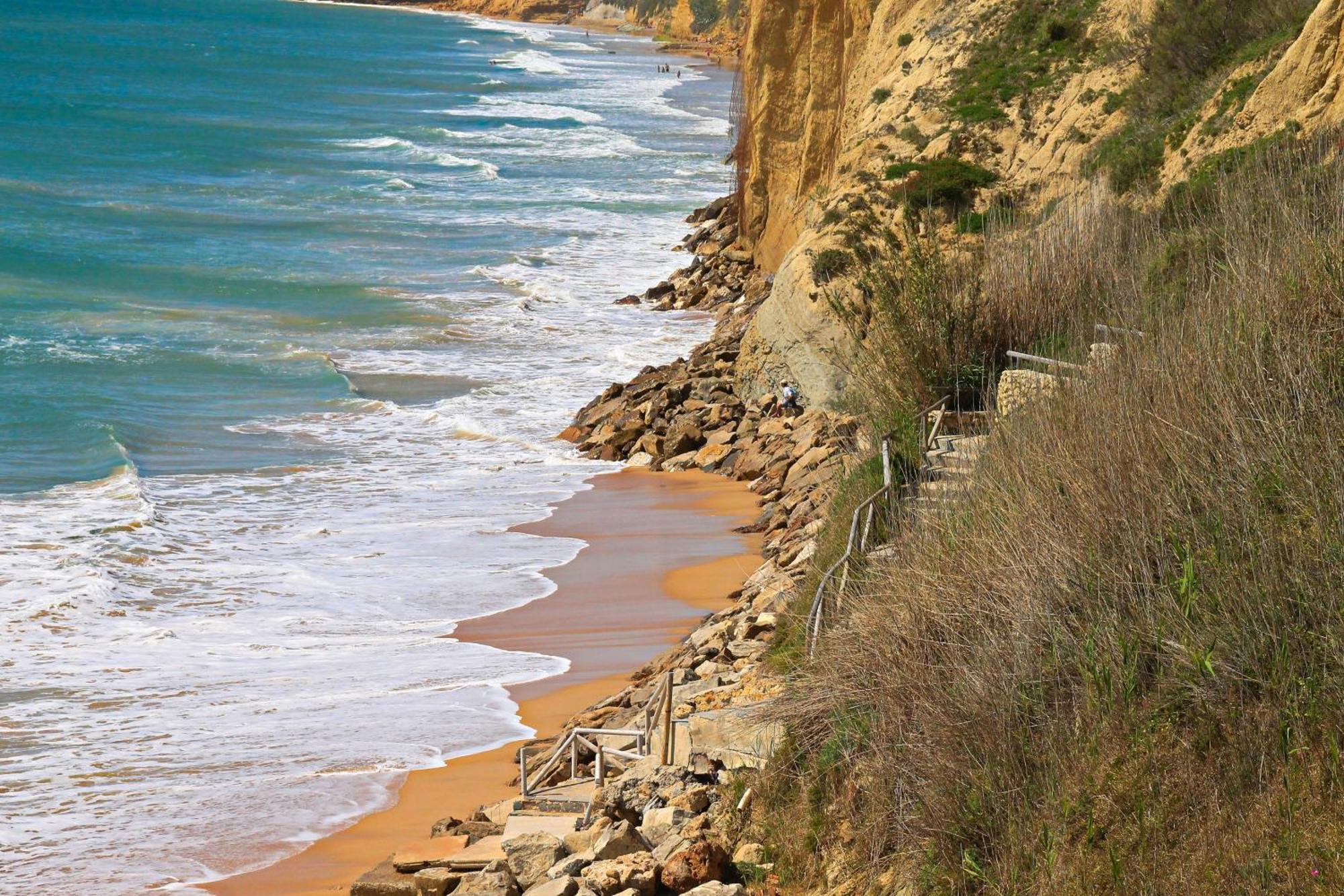 Chinarejo * Conil De La Frontera